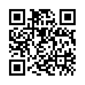 Channelconnect.nl QR code