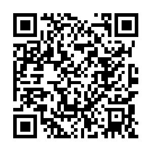 Chasinghappinesslegalizemarijuanna.com QR code