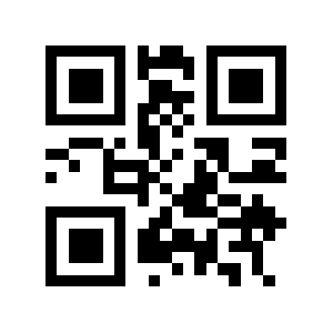 Chat.vg QR code