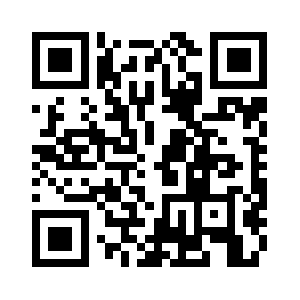 Check-now.online QR code