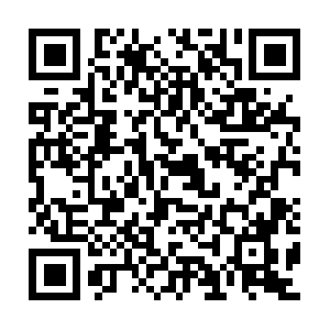 Checkfreeforsystemssetpcandmac.info QR code