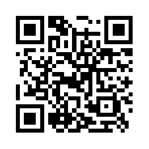 Chennaidelights.com QR code