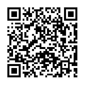 Chesapeakegardeningandlandscaping.com QR code