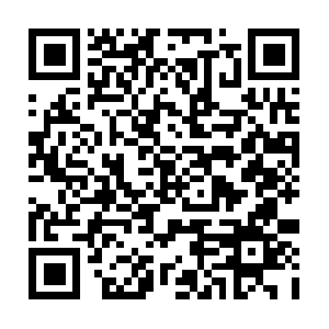 Chicagosustainabilityconsulting.org QR code