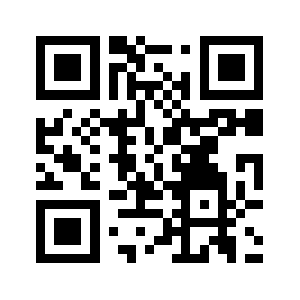 Chidou999.biz QR code