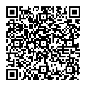 China-tokyo-proxy-new-1678438214.ap-northeast-1.elb.amazonaws.com QR code