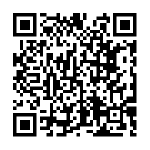 Chiropractorcarelawrencevillega.com QR code