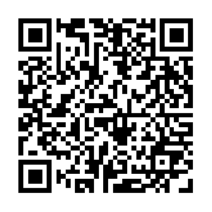 Chirurgialaparoscopicasemplificata.com QR code