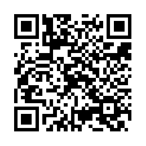 Chistyakovschoolrussianrealism.com QR code