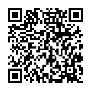 Choiceinformations-briefedfor-you.info QR code