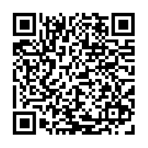 Choiceinformations-updated-foryou.info QR code