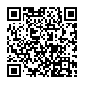 Choiceinformationsbriefed-forus.info QR code