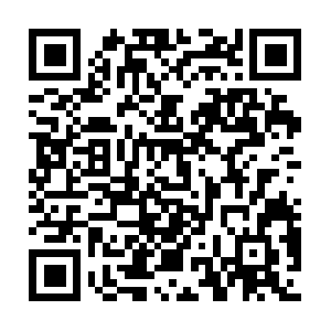 Choiceinformationsbriefed-foryou.info QR code