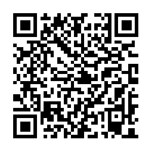 Choiceinformationsrenewed-for-you.info QR code