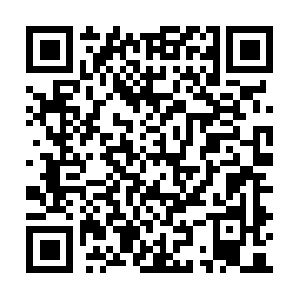 Choiceinformationsupdated-for-you.info QR code