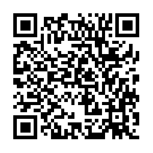 Choiceinformationsupgradedfor-you.info QR code