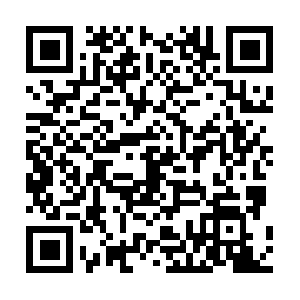 Cid-193d7751c51219f2.users.storage.live.com QR code