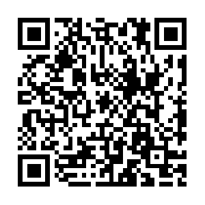 Circleofsupportsussexcounselling.com QR code