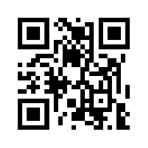 Citybidz.com QR code