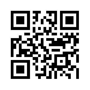 Cityrundle.com QR code