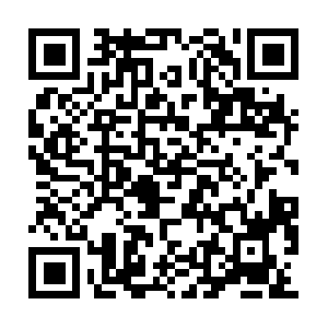 Civilprimegeneralengineeringinc.com QR code