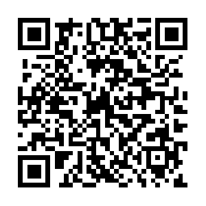 Climate-change-performance-index.org QR code