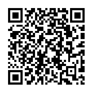 Clinicadamemoria-academiacerebral.com QR code