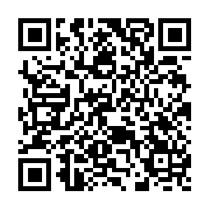 Cn-1976868133-vnsg13148.ibosscloud.com QR code