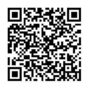 Cn-864970106-vnsg13225.ibosscloud.com QR code