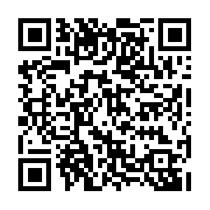 Cn-864970133-vnsg13222.ibosscloud.com QR code