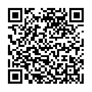 Cn-864970217-vnsg13213.ibosscloud.com QR code