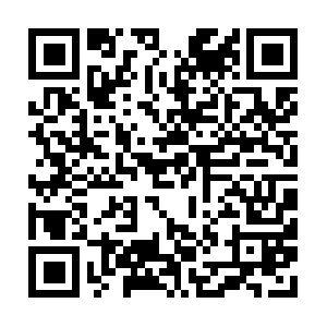 Cn-hbsjz2-cmcc-bcache-05.bilivideo.com QR code