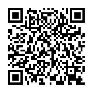 Cn-prof.np.community.playstation.net QR code