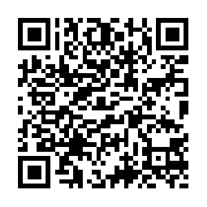 Cn1735374387-vnsg11498.ibosscloud.com QR code