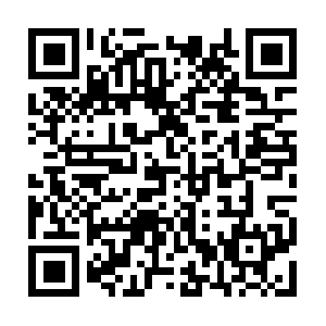 Cn1759623237-vnsg12015.ibosscloud.com QR code