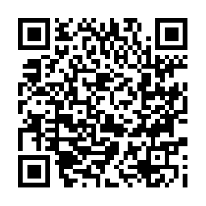 Co.dob.sibl.support-intelligence.net QR code