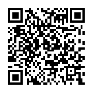 Co.id.getcacheddhcpresultsforcurrentconfig QR code