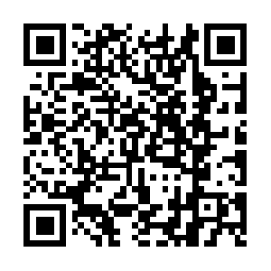 Co.th.getcacheddhcpresultsforcurrentconfig QR code
