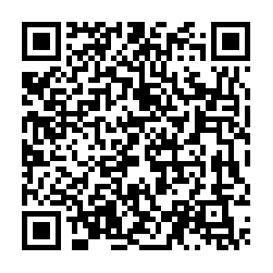 Cognitivelearningfromearlychildhoodintoretirement.info QR code