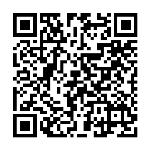 Coleccion-carmen-thyssen-bornemisza.org QR code