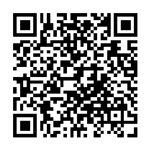 Colectivodereporterossonorenses.com QR code