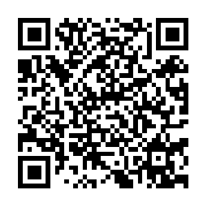 Collectiblesonlinedailysselection.com QR code