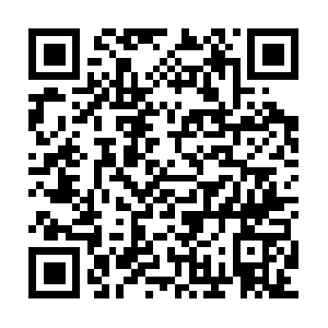 Collection-endpoint-staging.herokuapp.com QR code