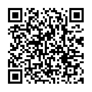 Collectpolicy.myxolo.net.www.tendawifi.com QR code