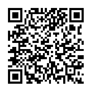 College-paper-writing-service.reviews QR code