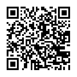 College-student-health-insurance.org QR code