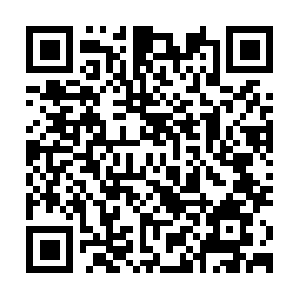 Colleyville5kchampionshipseries.com QR code