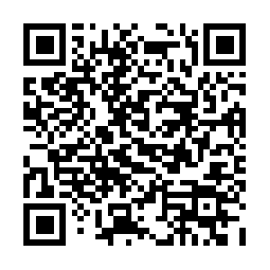 Collincounty-criminallawyerblog.com QR code