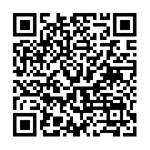 Colombianadecortesydoblecesltda.com QR code