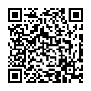 Coloradosurgicalandhairinstitute.com QR code